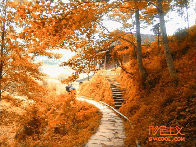 用PS通道调出秋天橙色风景照片