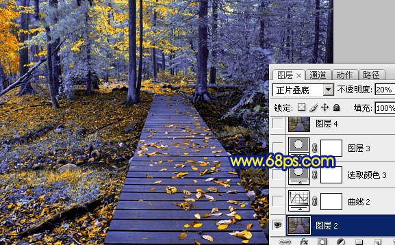 冷色唯美森林照片色彩处理的PS教程