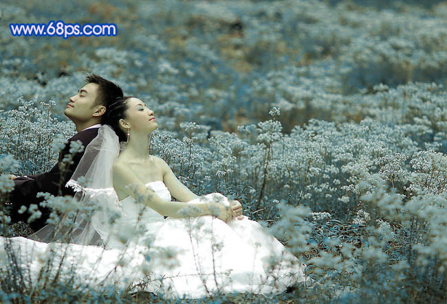 PS调出蓝色花丛中的婚片照片