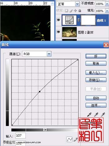 用PS调出米黄暖色户外婚纱照片