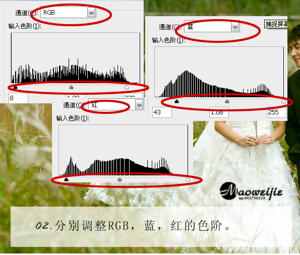 柔美素雅婚纱照片的PS调色教程