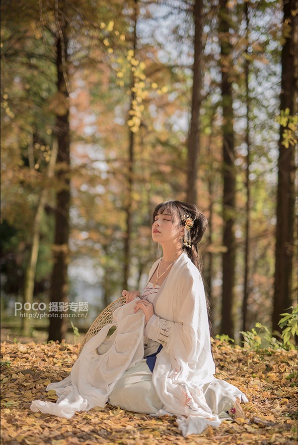 PS调出金黄色秋季树林背景女生写真照片