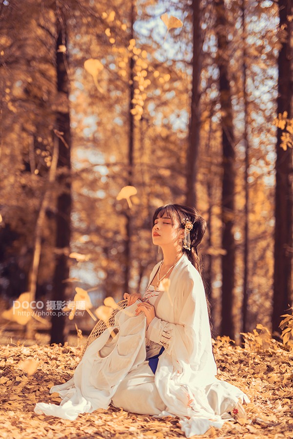 PS调出金黄色秋季树林背景女生写真照片