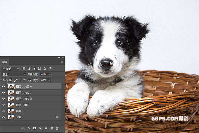 PS制作黑白纹理版画效果的小狗图片