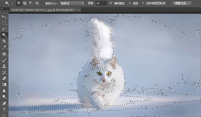 用PS蒙版抠取白色背景中的白猫图片