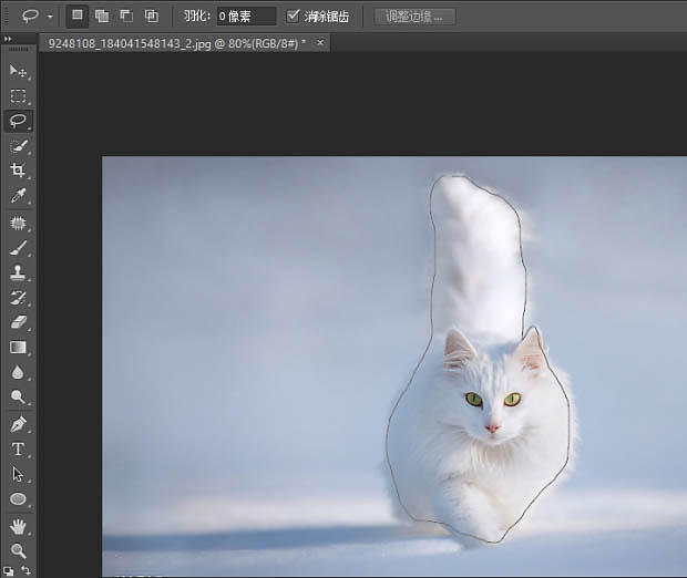 用PS蒙版抠取白色背景中的白猫图片