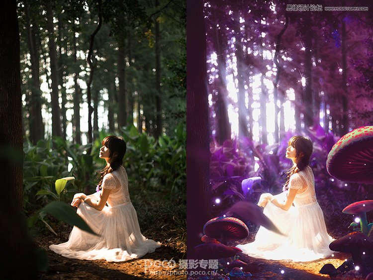 PS调出梦幻紫色森林中的女生图片