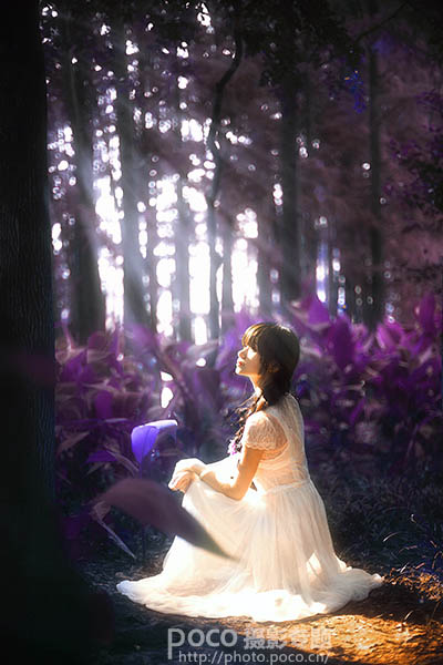 PS打造梦幻紫色树林中的女生图片