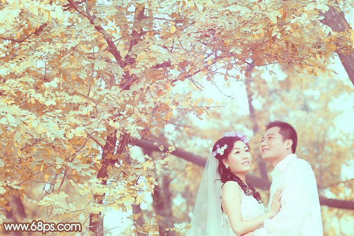 PS调出橙黄色树林中的情侣婚纱照片