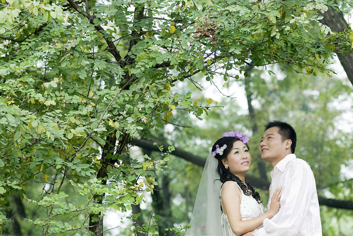 PS调出橙黄色树林中的情侣婚纱照片
