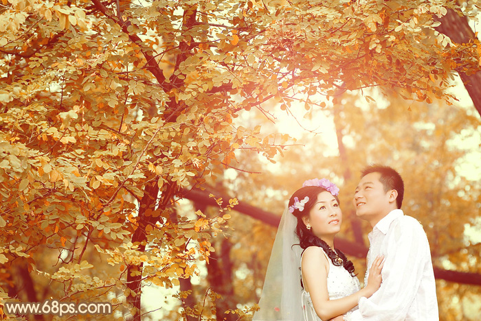 PS调出温馨甜蜜的金色树林婚纱照片
