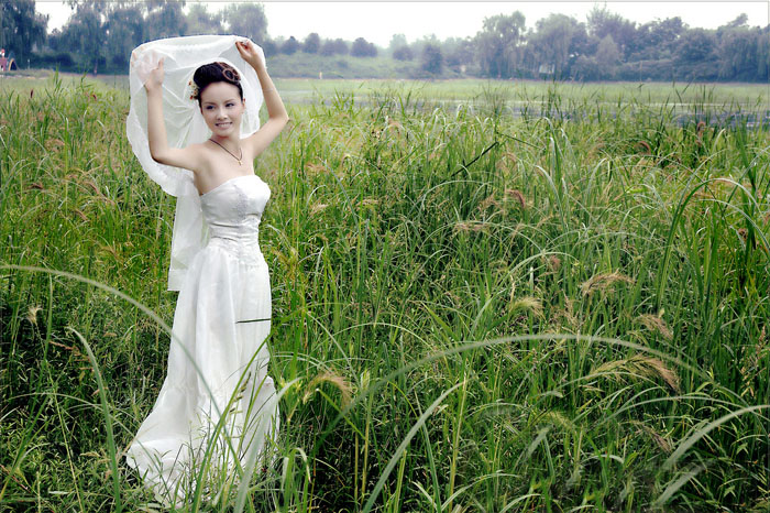Photoshop打造青黄色稻田中的婚纱照片