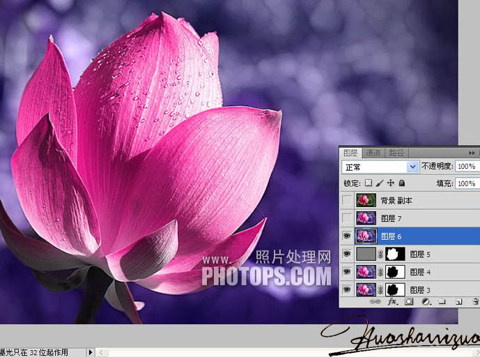 调出紫红色荷花特写图片的PS教程