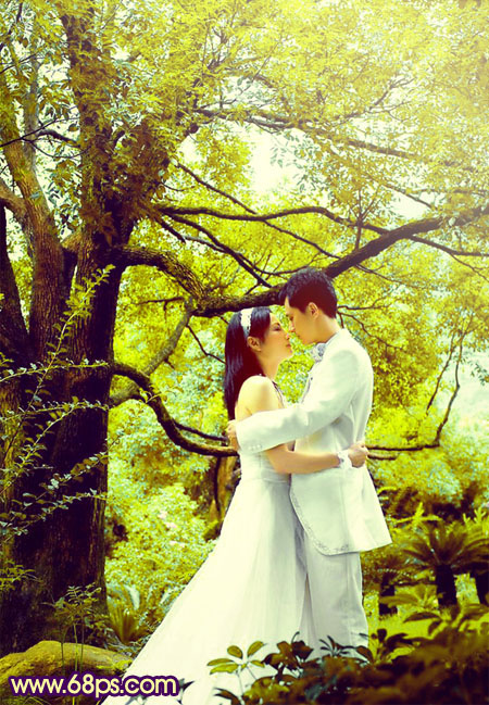 PS调出黄绿色树林中的情侣婚纱照片