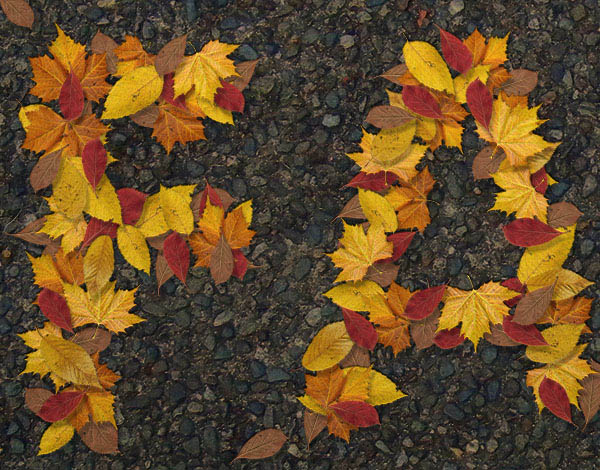 制作秋季树叶文字图片效果的PS教程