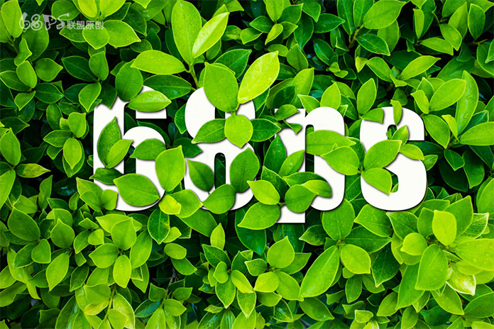 PS制作绿色树叶堆积效果的文字壁纸图片