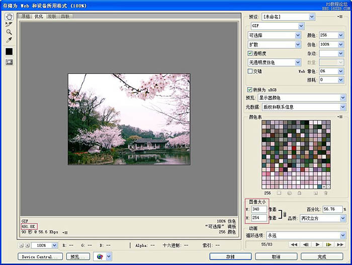 用PS制作桃花飘落图片效果的GIF图片