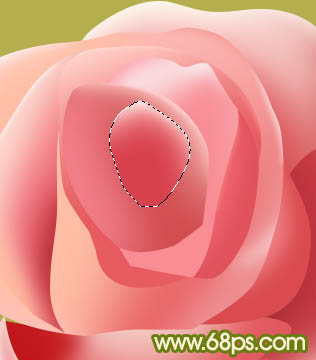 PS制作含苞欲放的粉嫩玫瑰花图片