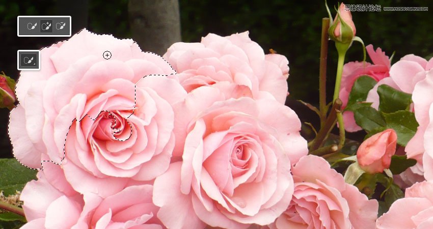 制作创意粉色玫瑰花朵文字图片的PS教程