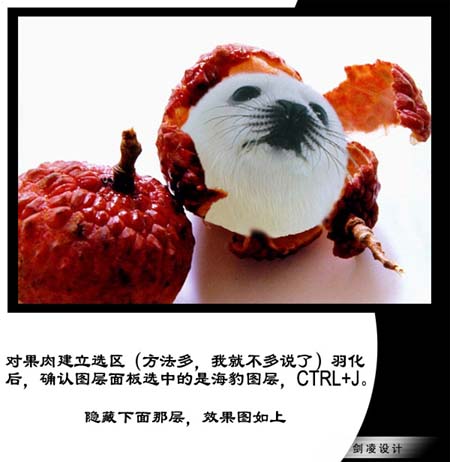学习PS合成可爱海豹脸型的水果图案