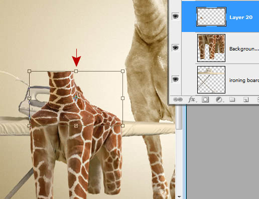 用PS怎样合成长颈鹿烫衣服的创意图片
