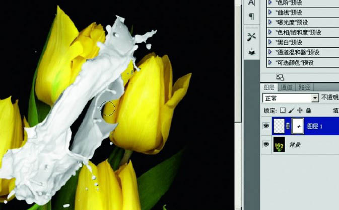 PS合成花液喷溅的郁金香花朵图片