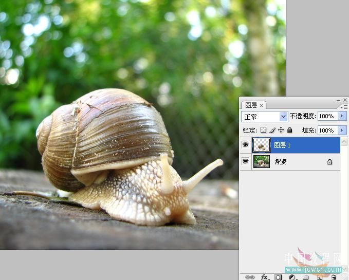 怎样合成蜗牛赛跑创意图片的PS教程