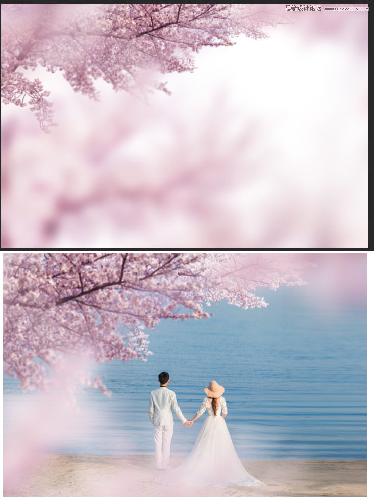 Photoshop合成唯美樱花树下的海景婚纱照片