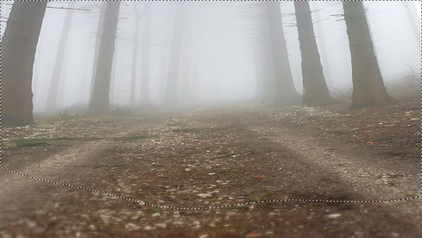 PS合成奇幻迷雾森林中的梅花鹿图片