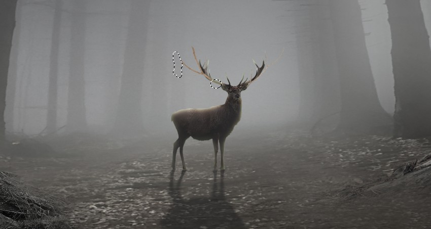 PS合成奇幻迷雾森林中的梅花鹿图片