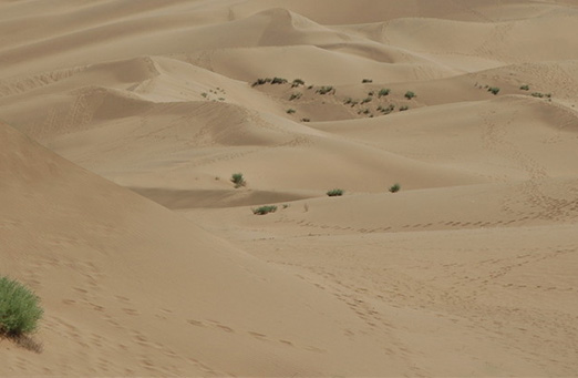 合成手捧沙漠绿洲风景图片的PS教程