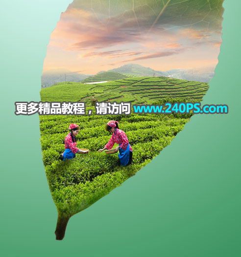 合成树叶中创意茶山照片效果的PS教程