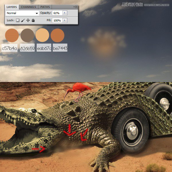 合成逼真超酷鳄鱼汽车图片的PS教程