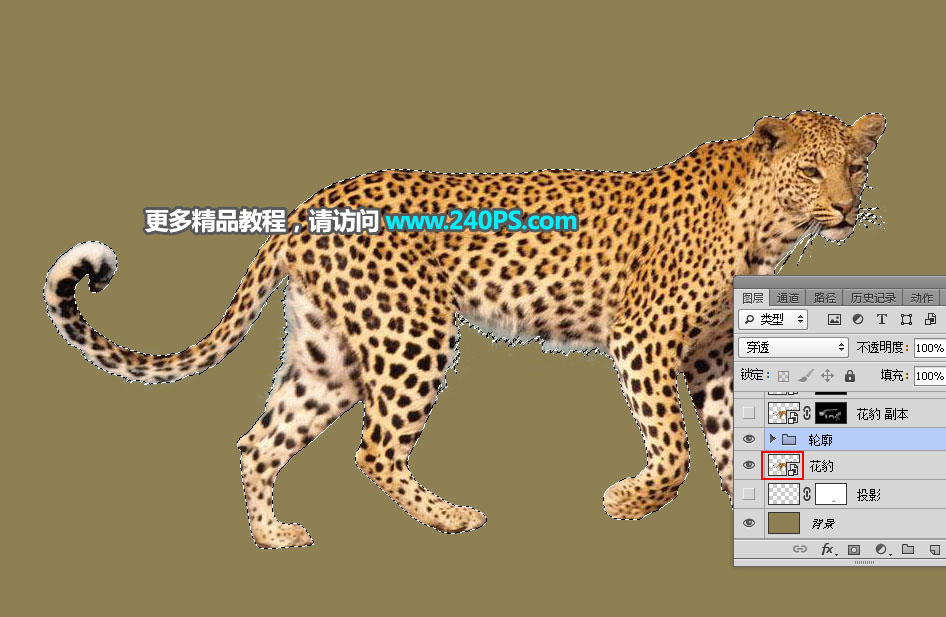 合成二次曝光花豹动物图片的PS教程
