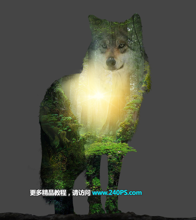 合成森林动物重影照片效果的PS教程