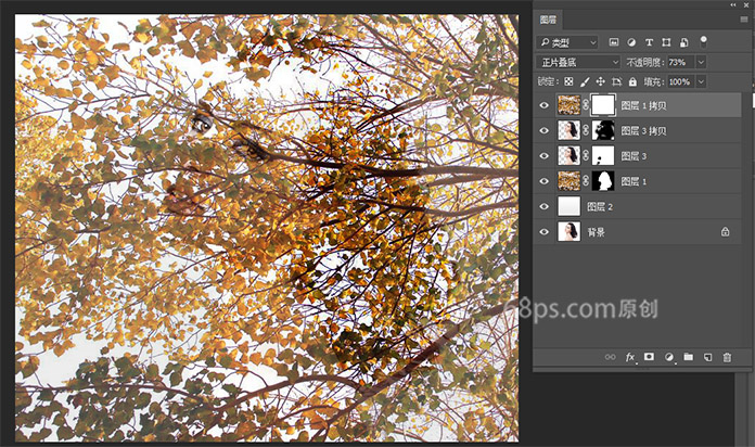 合成人物头像与树枝重影效果的PS教程