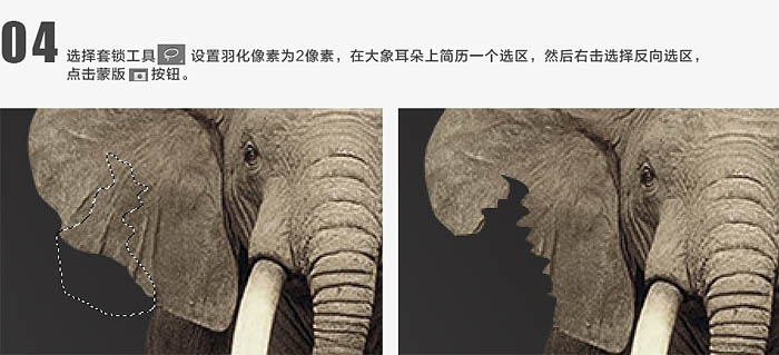 合成风化年迈大象图片效果的PS教程