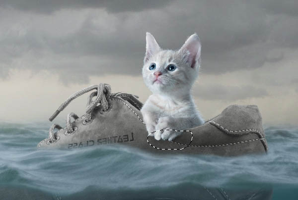 用PS合成漂泊在大海上的可爱小猫图片
