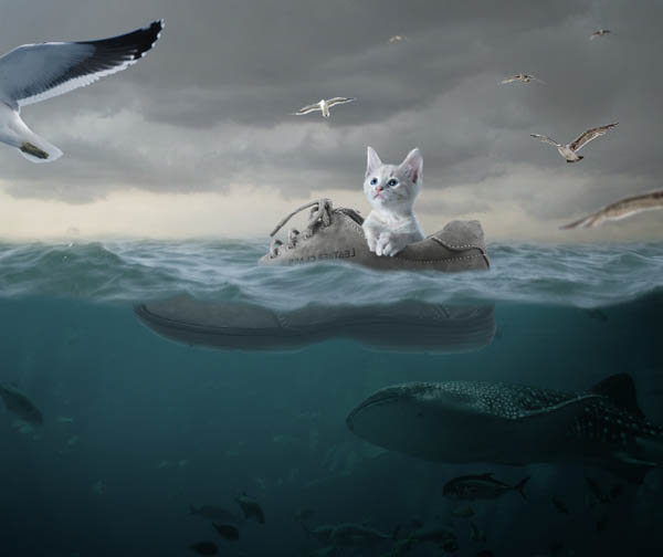 用PS合成漂泊在大海上的可爱小猫图片
