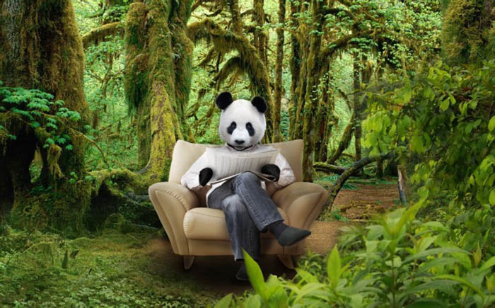 用PS如何合成树林中的熊猫人照片