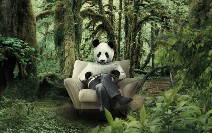 用PS如何合成树林中的熊猫人照片