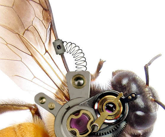 合成逼真机械蜜蜂图片的Photoshop教程