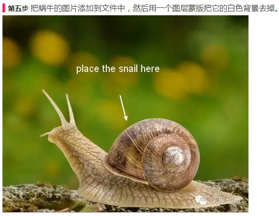 用PS合成坐在蜗牛上的小女孩照片
