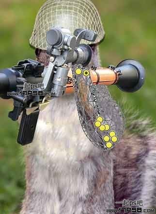 Photoshop合成可爱的武装松鼠战士图片