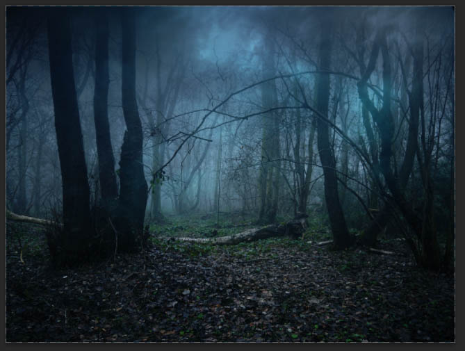 合成昏暗阴森恐怖森林图片的PS教程