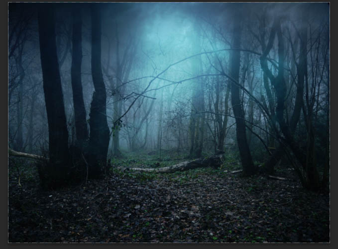 合成昏暗阴森恐怖森林图片的PS教程