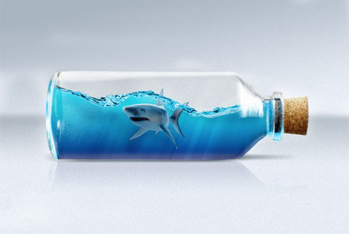 PS合成在玻璃瓶中游泳的鲨鱼图片