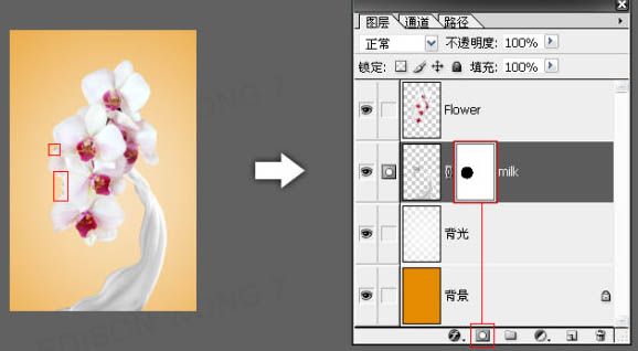 怎样合成动感牛奶花朵图片的PS教程