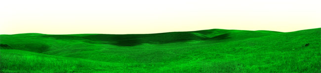 PS合成唯美漂亮草原上的彩虹照片