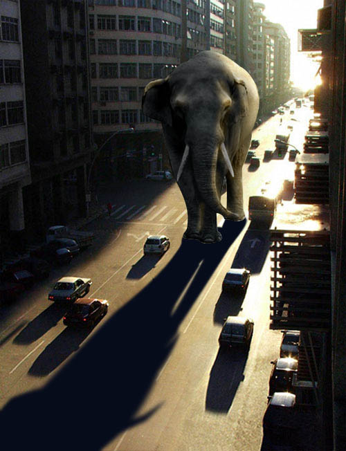 PS合成行走在城市道路上的大象图片